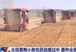 共享晒粮点、快速烘干 、24小时为农服务 各地推出暖心举措服务夏收