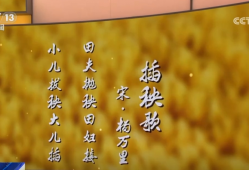 风吹麦成浪 静待稻花香 | 95秒聆听诗词中的芒种