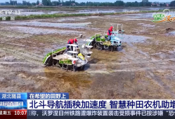 三夏抢收抢种忙：小麦机收 良种良机助增产 水稻种植 智慧种田促增收