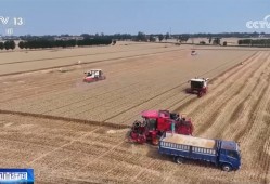 由“看天吃饭”转向“旱涝保收” 小麦丰收新麦上市 价格有望稳中有升