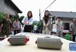 外国留学生在重庆体验端午民俗