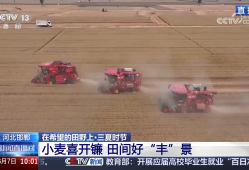 小麦丰收 科技助力 非遗也来凑热闹
