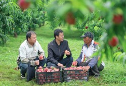 锲而不舍落实中央八项规定精神丨云南曲靖：让基层干部不用“围着表格转”