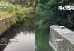 焦点访谈｜从“避之不及”到“亲水而居”，这里交出生态治理亮眼成绩单