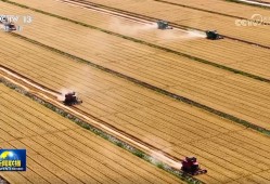 【在希望的田野上·三夏时节】全国夏粮小麦进入收获高峰期