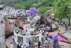 传统景区不断“破圈”“出圈”  “文旅+创新”激发经济澎湃活力