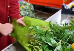 各地文旅消费“玩法”多元 “传统文化+假日经济”释放蓬勃消费活力