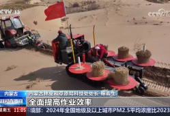 扩绿兴绿护绿 “三北”治沙实现绿富双赢