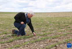 美国“粮仓”一线观察：关税政策冲击下的农民春播之困